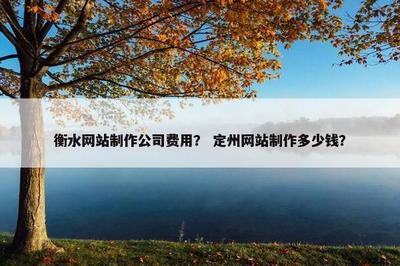 衡水與定州網站制作公司費用及國內廣告設計費用全解析